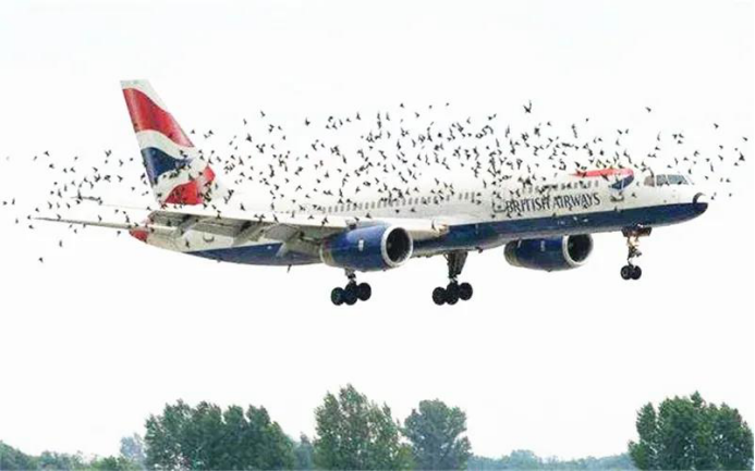 1636957522262343.png 1636957522262343.png