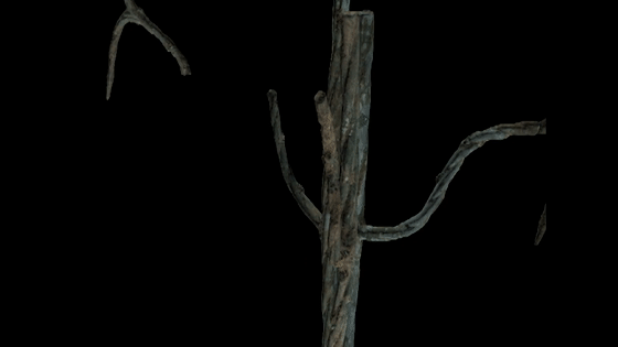 1655364626278701.gif 虛擬修復(fù)過程-8.gif