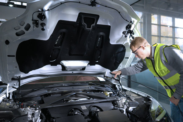 1739267313693785.jpg 10.jpg